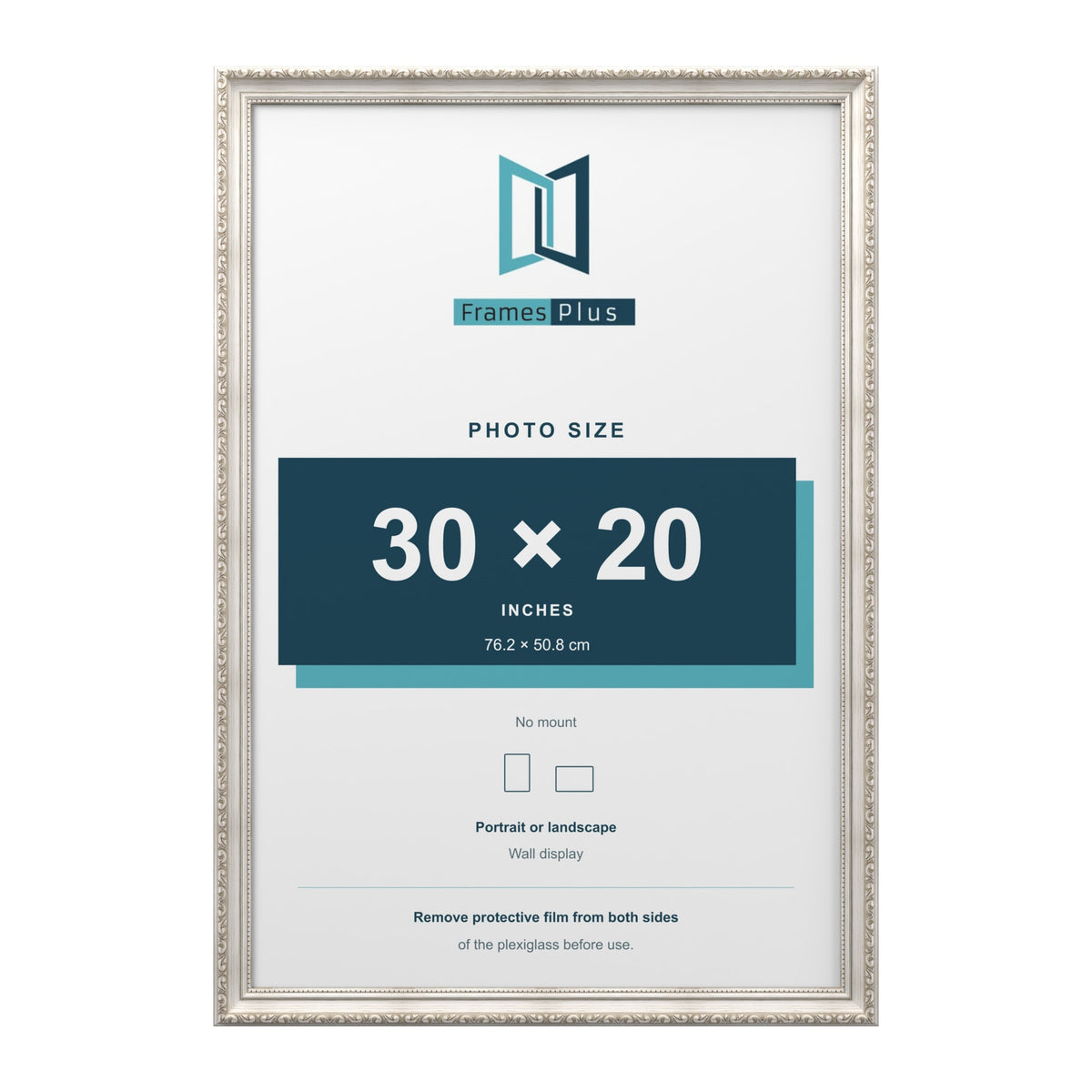 Louis Silver picture frame for a 30 x 20 inch photo
