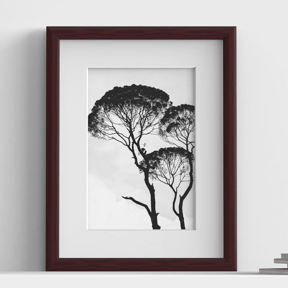 Minimo Range Mahogany picture frame with white mount, close view
