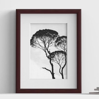 Minimo Range Mahogany Picture, Photo & Poster Frame with White Mount
