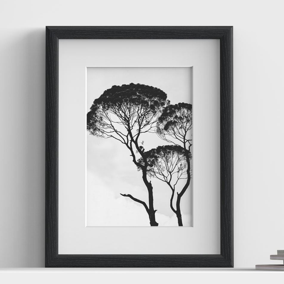 Minimo Range Black picture frame with white mount, close view