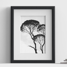 Minimo Range Black picture frame with white mount, close view