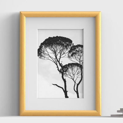 Minimo Range Gold Picture, Photo & Poster Frame with White Mount