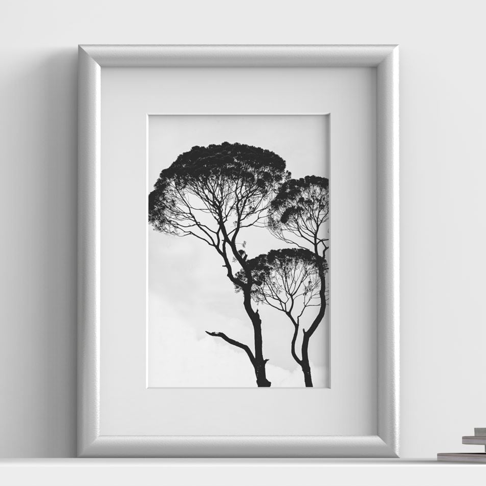 Minimo Range Silver picture frame with white mount, close view