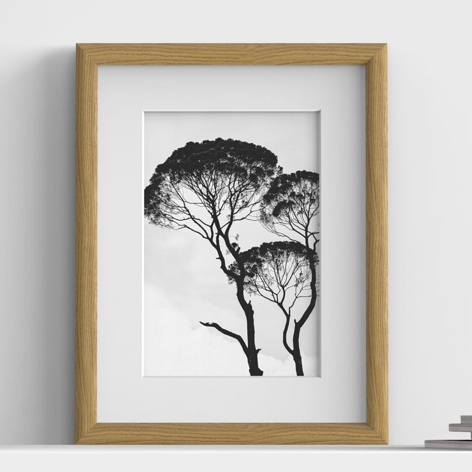 Minimo Range Oak picture frame with white mount, close view