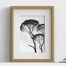 Minimo Range Oak picture frame with white mount, close view