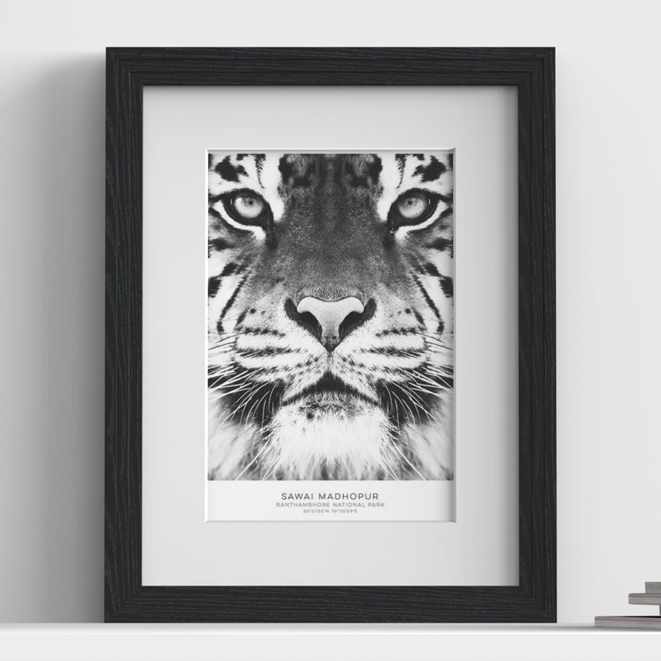 Verona Range Black picture frame with white mount, close view