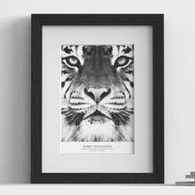 Verona Range Black picture frame with white mount, close view