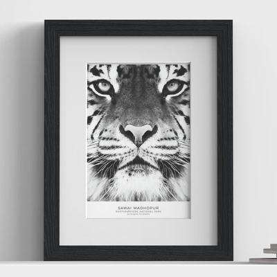 Verona Range Black Picture, Photo & Poster Frame with White Mount