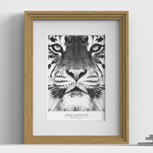 Verona Range Oak picture frame with white mount, close view