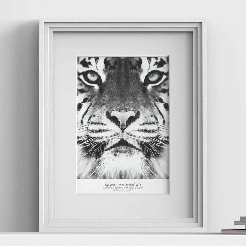 Verona Range White picture frame with white mount, close view