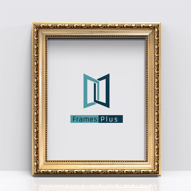 Louis Range gold picture and poster frame displaying the Frames Plus logo in a stylish design.