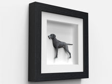 Box Range Black 25mm Deep Picture Display Frame with 1" White Mount, Memory Box Medals Memorabilia - Framesplus.co.uk