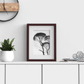Minimo Range Mahogany Picture Photo Poster Frame with White Mount