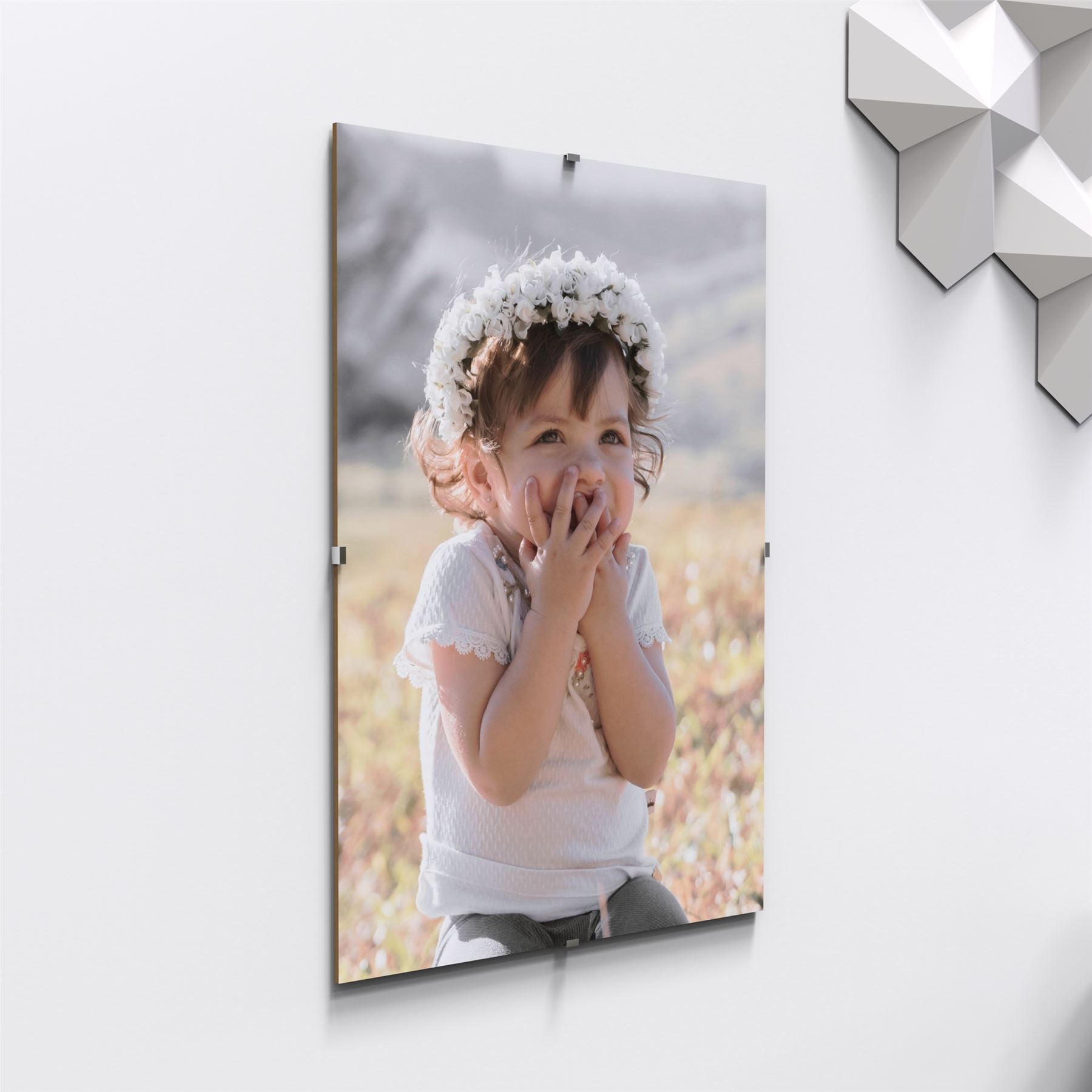 Quadro Clip Frame – 9x12 Inch Borderless, Frameless – Made In USA – Rectangle, Rear-Loading