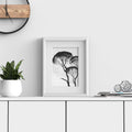 Minimo Range White Picture Photo Poster Frame with White Mount