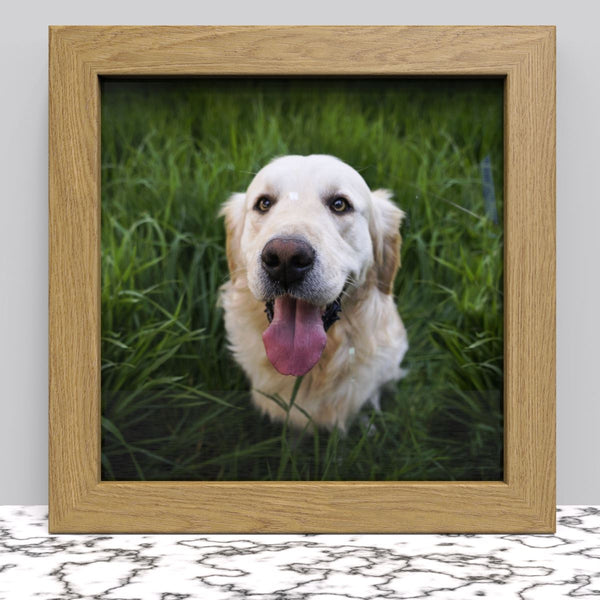Black White Oak Photo Frame for 10x10 Inches (25.4 x 25.4 cm) Picture Photo, Stand or Hang on wall - Framesplus.co.uk